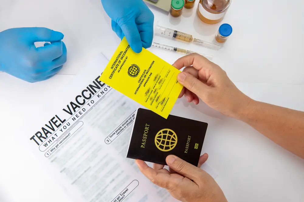 why travel vaccines are important