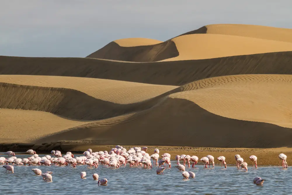places to visit in namibia