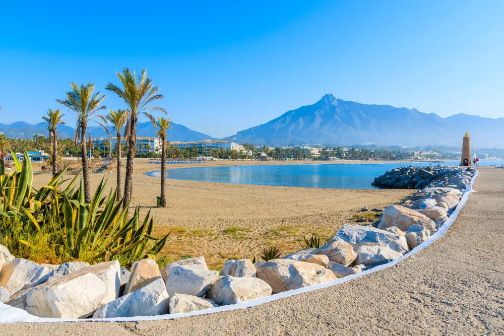  Places to Visit in Marbella Spain, palm trees in Marbella