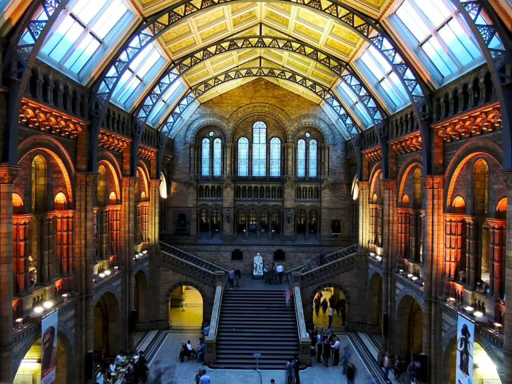 natural history museum, london, architecture-545186.jpg