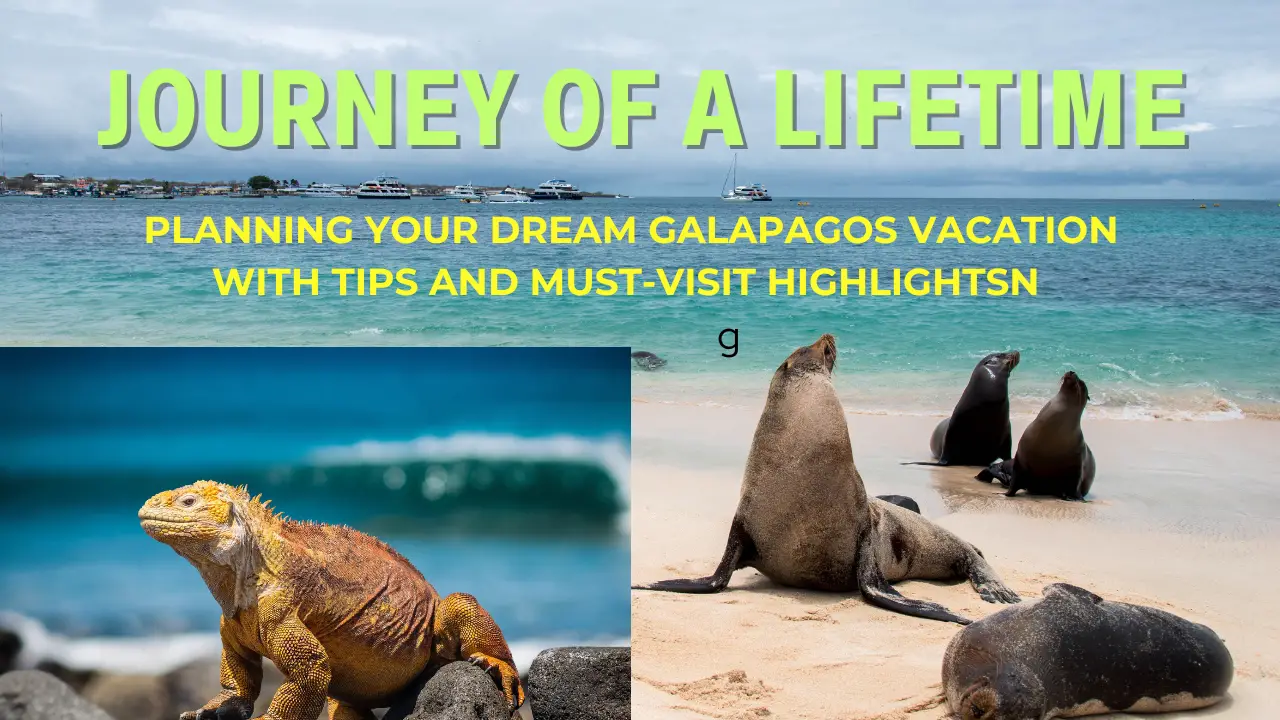 Planning Your Dream Galapagos Vacation: Tips and Must-Visit Highlights