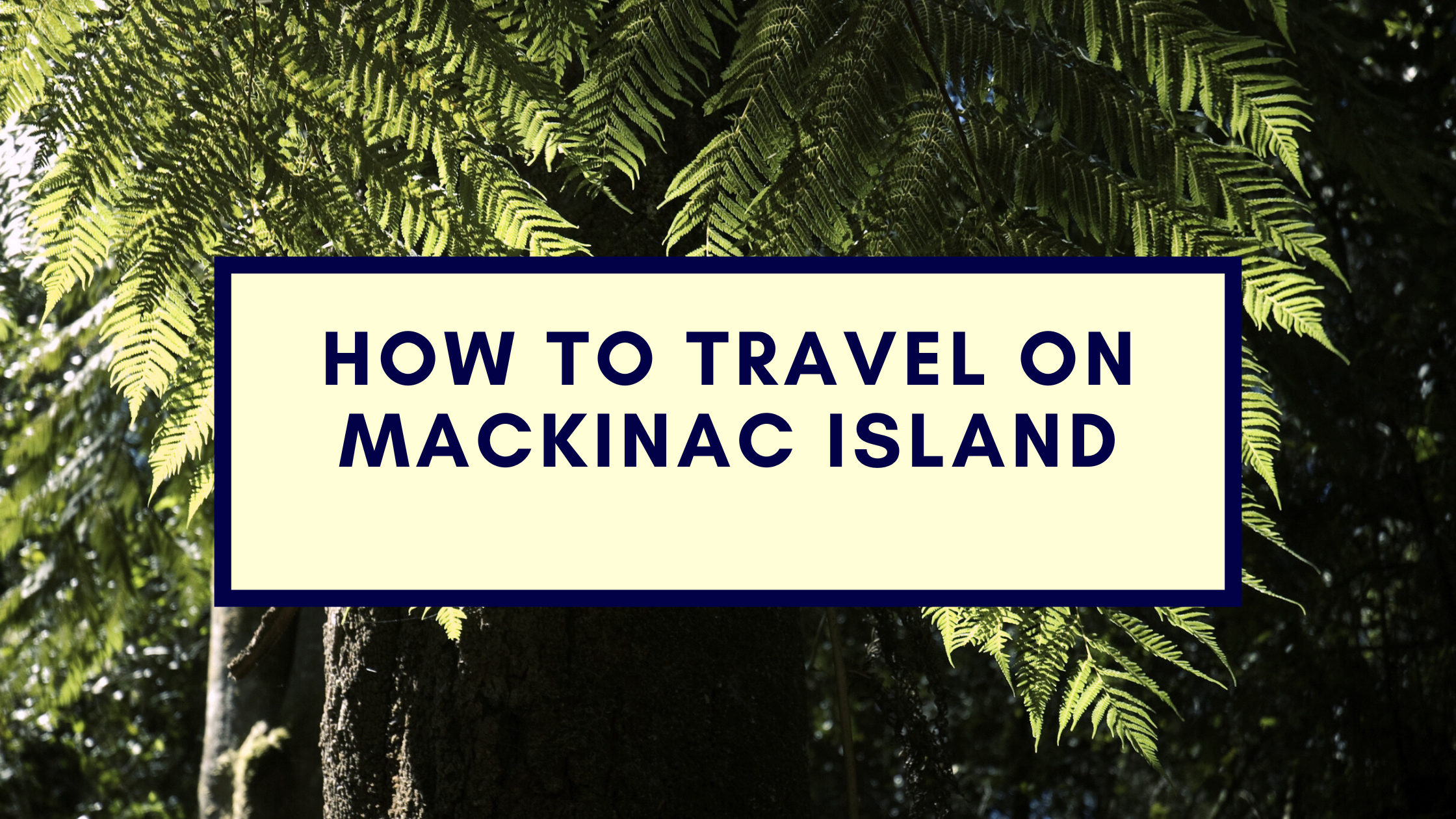 How To Travel On Mackinac Island