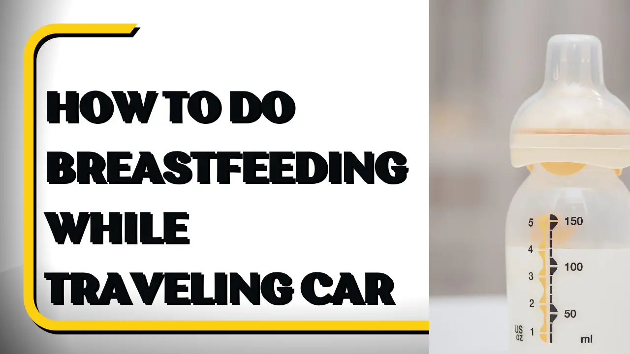How to do Breastfeeding While Traveling Car