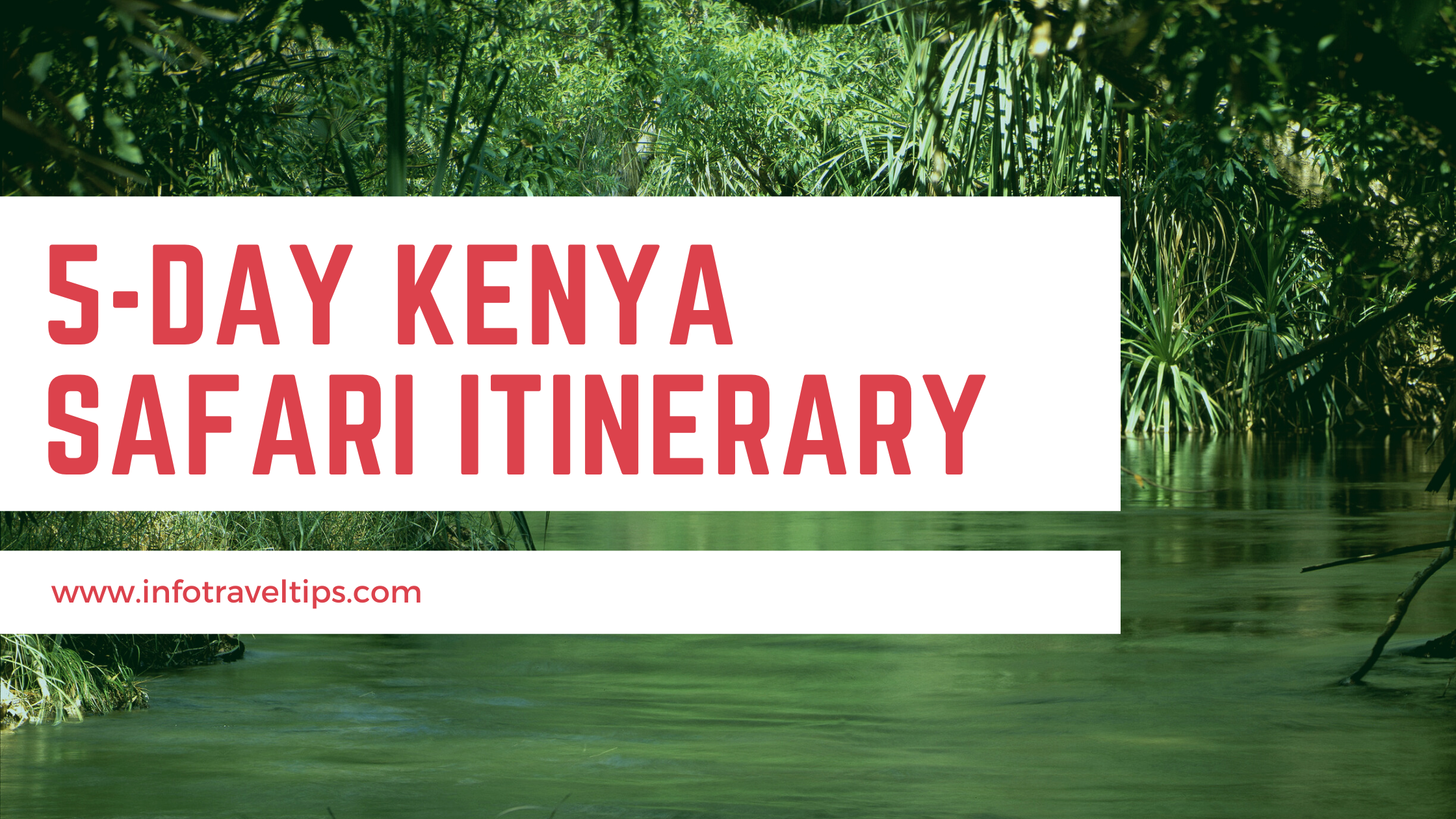 The Best 5-Day Kenya Safari Itinerary