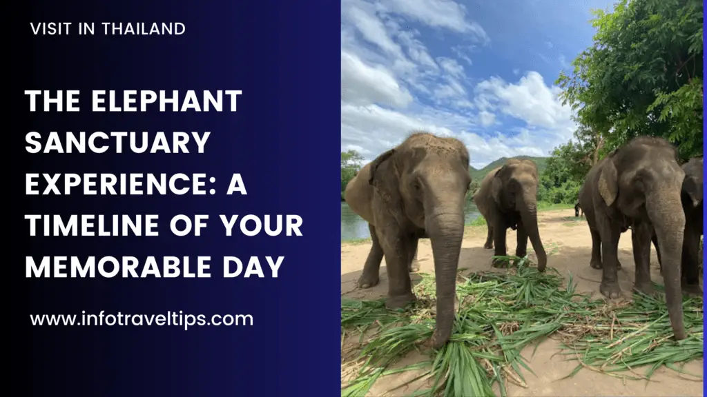 A Day in the Life at an Elephant Sanctuary What to Expect on Your Visit