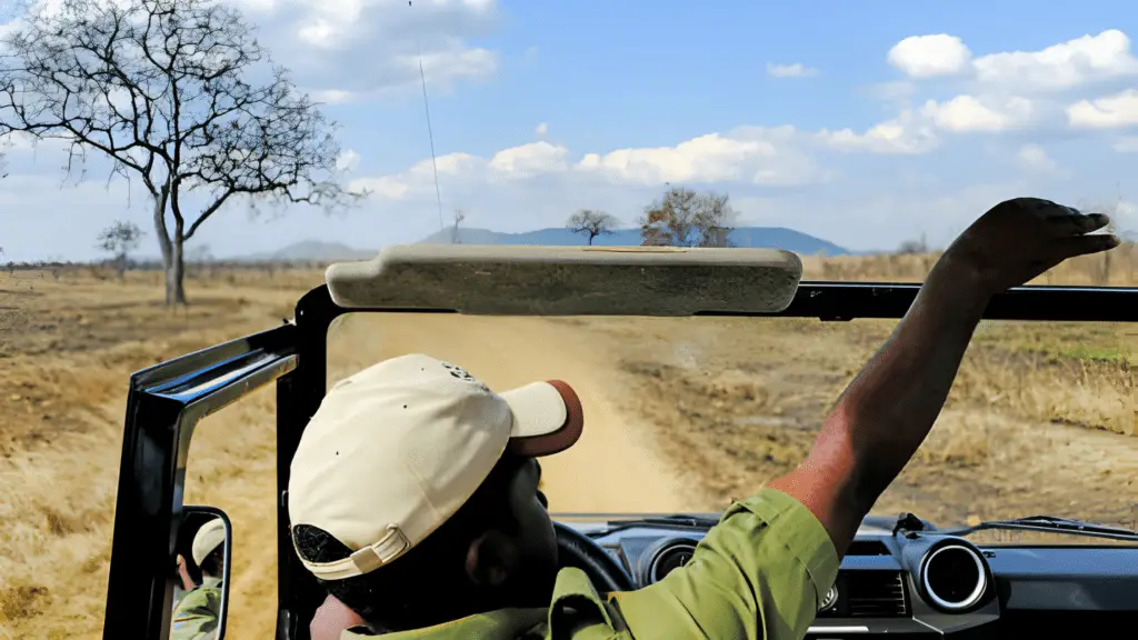 Budget-Friendly Activities In Tanzania
