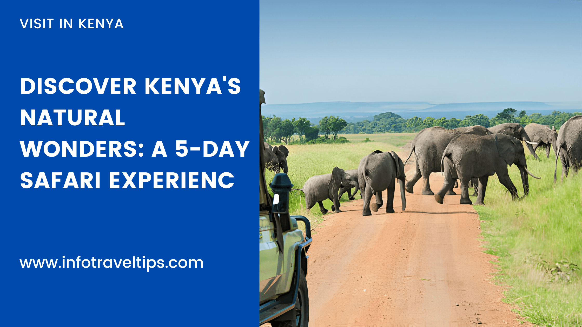 Explore the Wild: A Comprehensive 5-Day Safari Itinerary in Kenya
